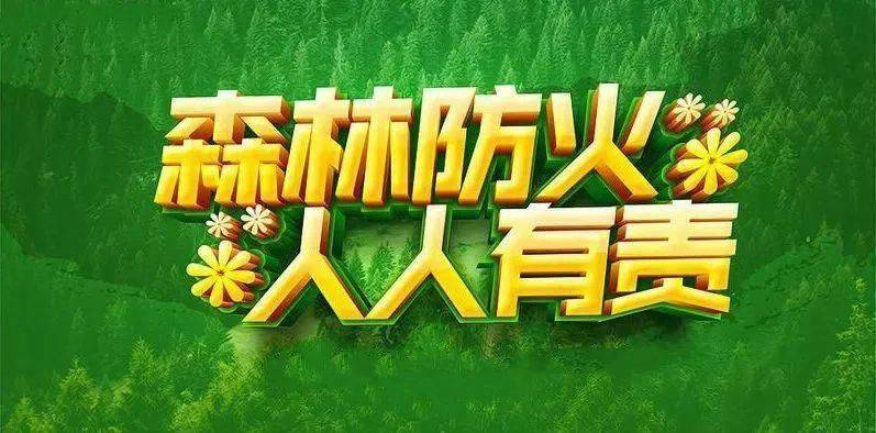 西藏召開全區(qū)森林草原防滅火工作電視電話會(huì)議